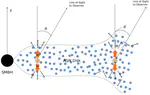 The emergence of diffused gamma-ray burst afterglows from the discs of active galactic nuclei