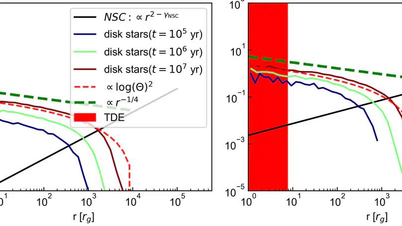 Stellar/BH Population in AGN Disks: Direct Binary Formation from Capture Objects in Nuclei Clusters
