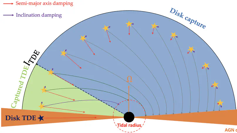 Changing-Look AGN Behaviour Induced by Disk-Captured Tidal Disruption Events