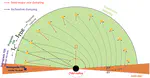 Stellar/BH population in AGN discs: direct binary formation from capture objects in nuclei clusters